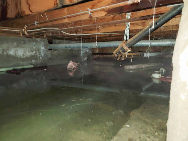 Best Commercial water damage restoration  in Pinehurst, NC