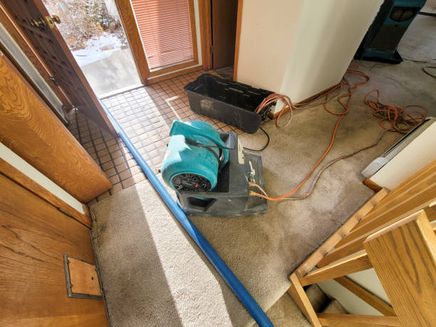 Best Water damage contractors near me  in Pinehurst, NC