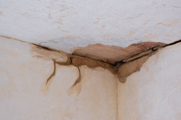Best Water damage restoration company  in Pinehurst, NC