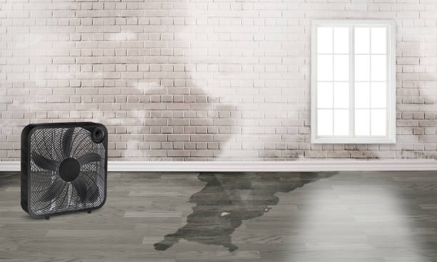 Best Emergency water damage restoration  in Pinehurst, NC