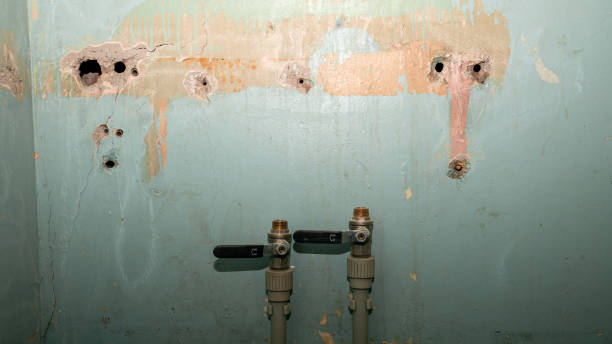 Best Mold removal after water damage  in Pinehurst, NC