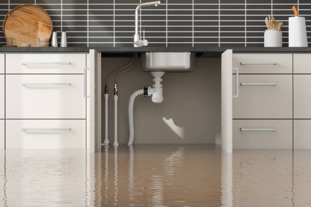 Carpet water damage restoration in Pinehurst, NC