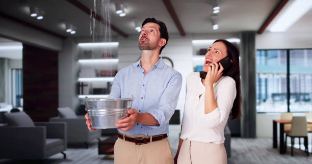 Best Water damage cleanup near me  in Pinehurst, NC