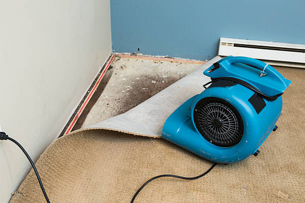 Best Ceiling water damage repair  in Pinehurst, NC